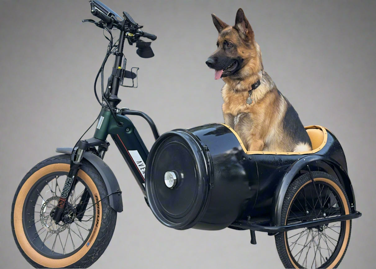 Custom Barrel Ebike Sidecar with German Shepheard