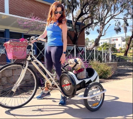 Safety First: Top Tips for Riding with Your Dog in a Bicycle Sidecar