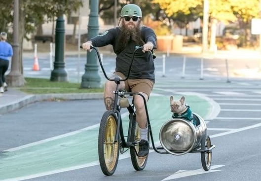 Bicycle Sidecar For Dog