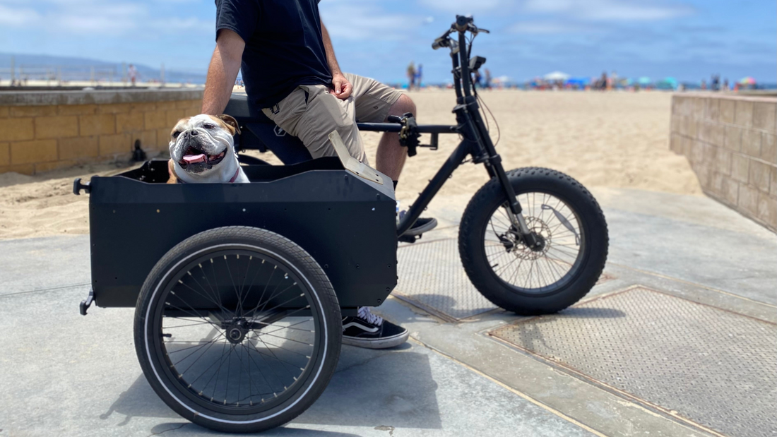 E-Bike Sidecars: Revolutionizing Pet Rides for Modern Cyclists