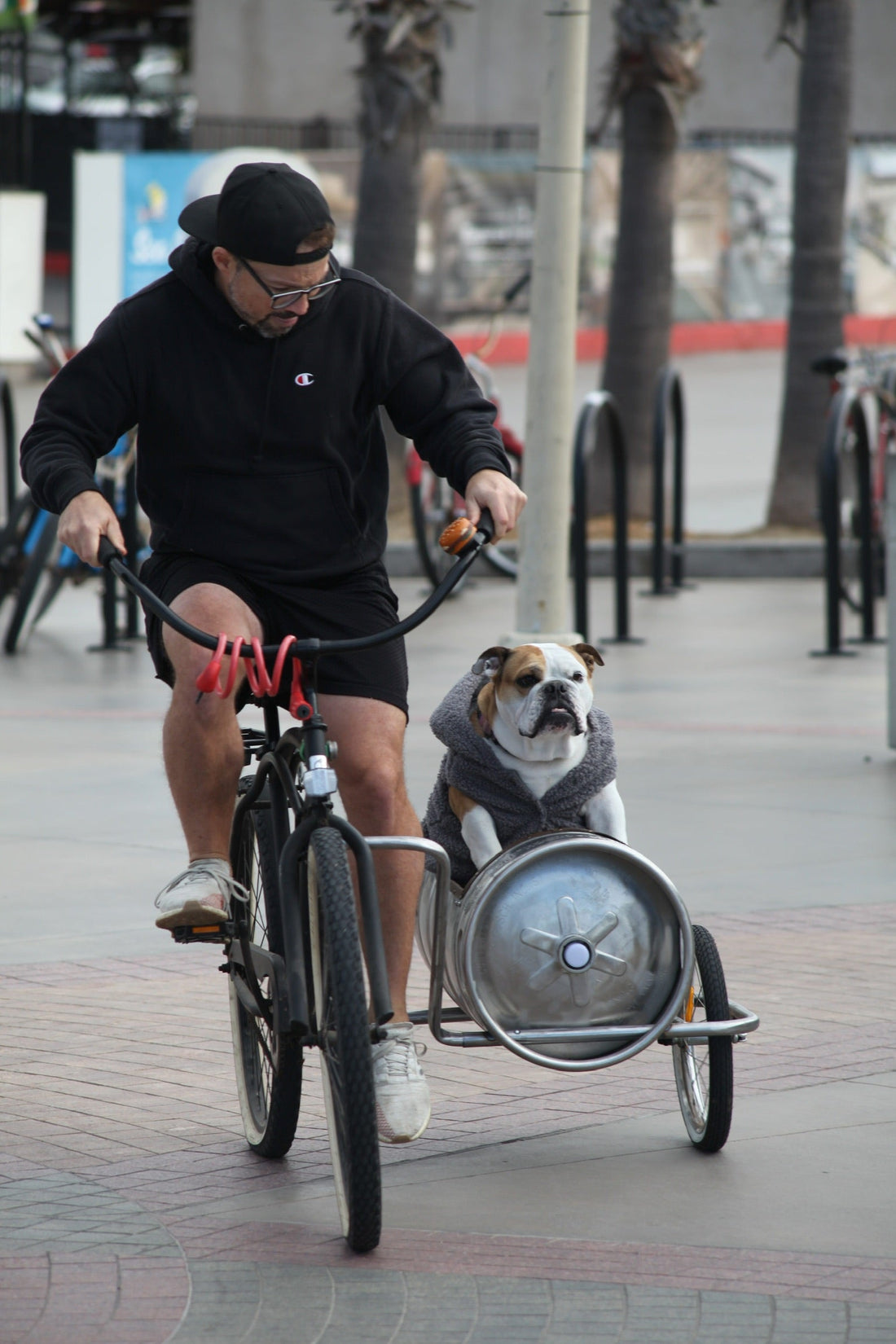 Tips and Tricks for Your First Ride with a ReFurrrbished Sidecar