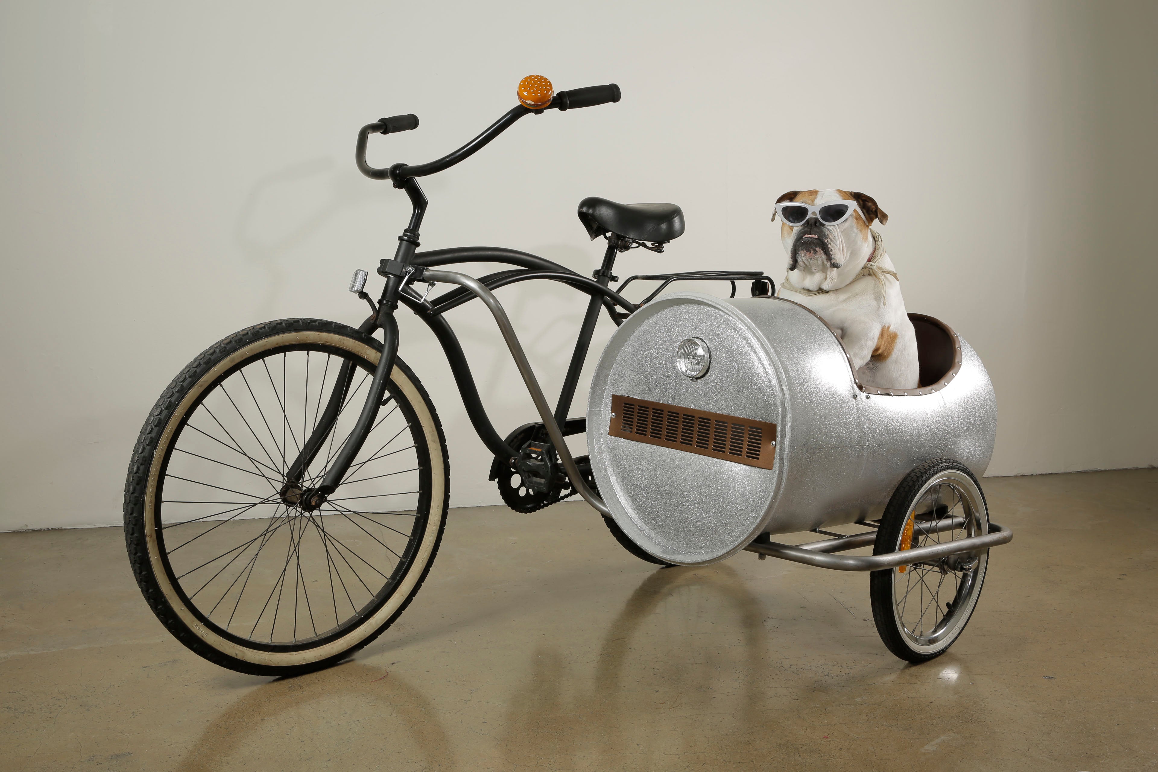 Order Your Dogs Sidecar Today