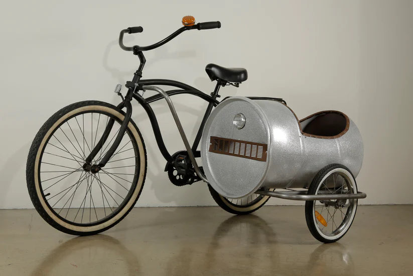 Large Sidecar for Bicycle - Best Seller