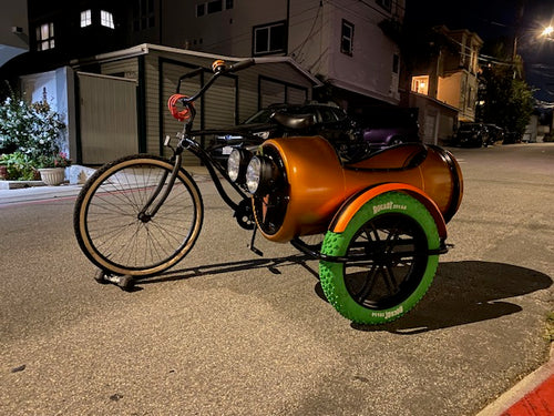 Custom Ebike Sidecar for large dog