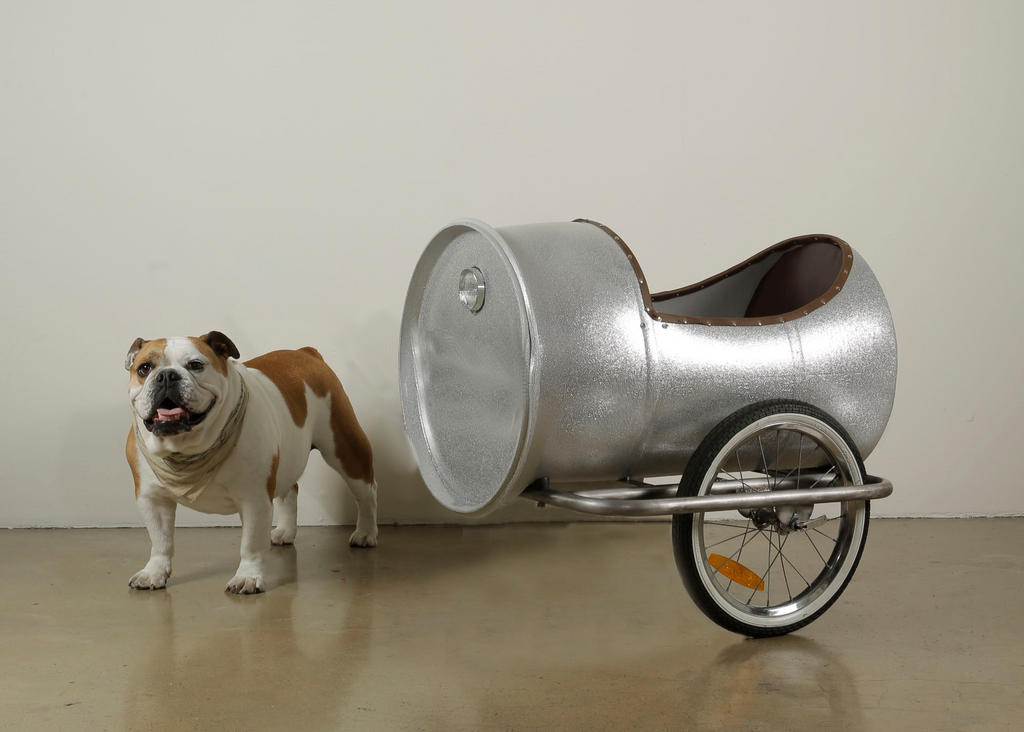 Bicycle Barrel Sidecar and Bulldog