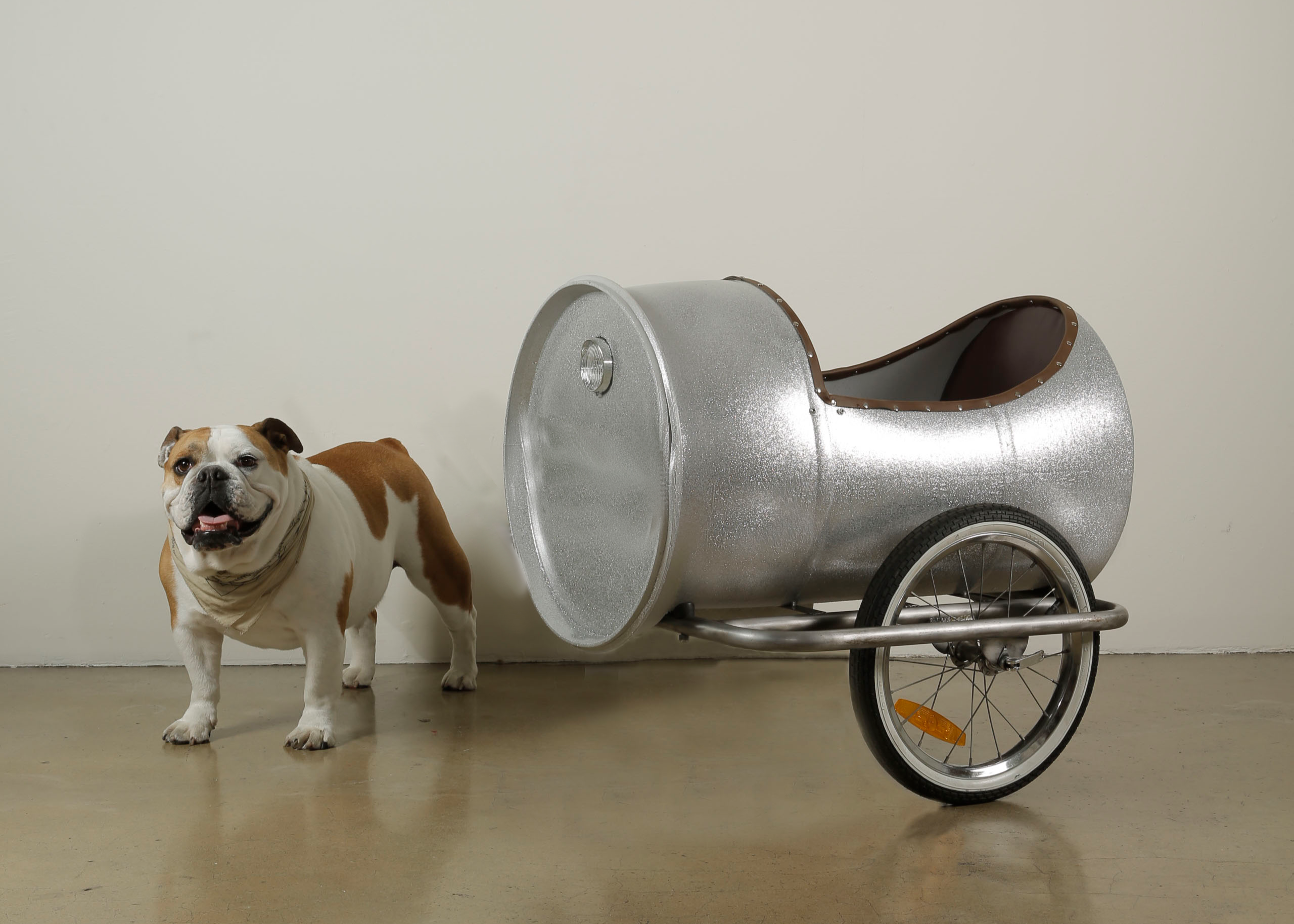 Bicycle Barrel Sidecar and Bulldog
