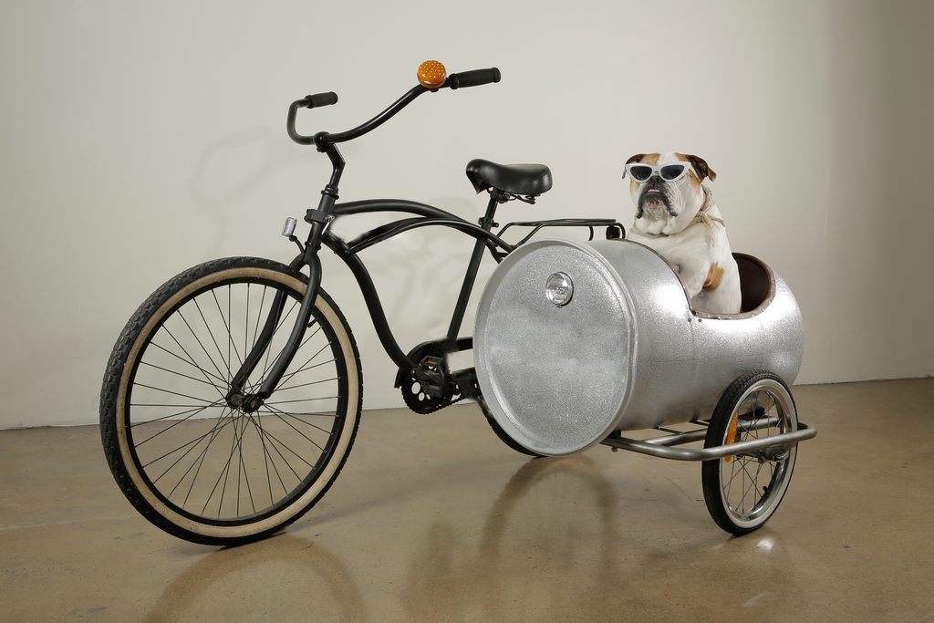 Bicycle Barrel Sidecar and Bulldog