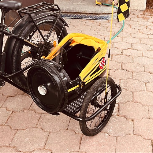Custom Yellow and Black bicycle sidecar for small dogs
