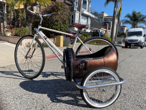 Bicycle Sidecar or small dogs