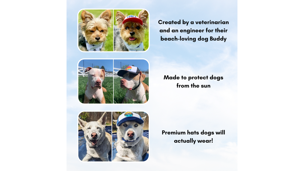 Refurrrbished Custom PupLid Trucker Hats for Dogs