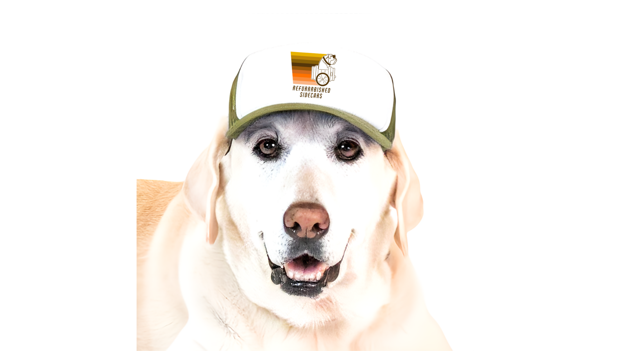 Refurrrbished Custom PupLid Trucker Hats for Dogs
