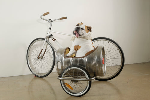 Bicycle Keg Sidecar and English Bulldog